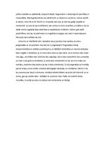 Eseja 'Es saskarsmē', 2.