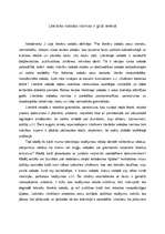 Eseja 'Literārās valodas normas ir grūti ievērot', 2.