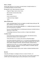 Konspekts 'Filosofijas konspekts augstskolas eksāmenam', 1.