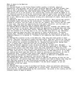 Eseja 'What does it mean to be American?', 1.