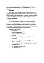 Paraugs 'Uzņēmuma "X" ārējās vides analīze', 3.