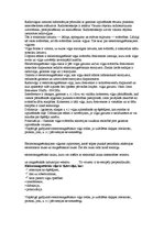 Referāts 'Elektromagnētiskie viļņi', 3.