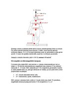 Referāts 'Elektromagnētiskie viļņi', 5.