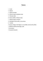 Referāts 'Globālā klimata maiņa', 2.