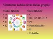 Prezentācija 'Vitamīni', 5.