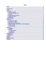 Referāts 'Pirts kā veselīga dzīvesveida sastāvdaļa', 9.