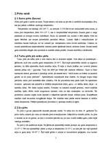 Referāts 'Pirts kā veselīga dzīvesveida sastāvdaļa', 12.