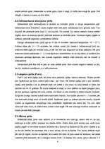 Referāts 'Pirts kā veselīga dzīvesveida sastāvdaļa', 13.