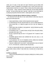 Referāts 'Pirts kā veselīga dzīvesveida sastāvdaļa', 18.