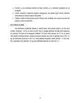 Referāts 'Pirts kā veselīga dzīvesveida sastāvdaļa', 19.