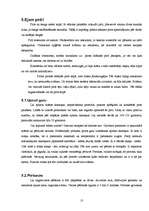 Referāts 'Pirts kā veselīga dzīvesveida sastāvdaļa', 20.