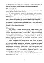 Referāts 'Pirts kā veselīga dzīvesveida sastāvdaļa', 21.