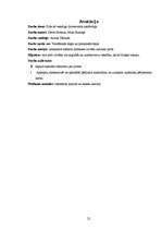 Referāts 'Pirts kā veselīga dzīvesveida sastāvdaļa', 29.