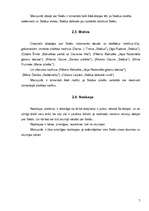 Referāts 'Saldus tēls dzejā', 7.