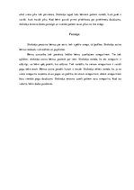 Paraugs 'Rotaļnodarbība ar matemātikas dominanti', 5.