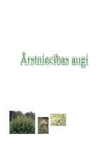 Referāts 'Ārstniecības augi Latvijā', 1.