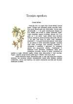 Referāts 'Ārstniecības augi Latvijā', 7.