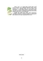 Referāts 'Ārstniecības augi Latvijā', 25.