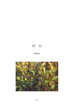 Referāts 'Ārstniecības augi Latvijā', 40.