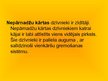 Prezentācija 'Nepārnadžu kārta', 3.