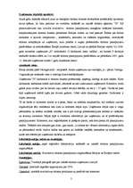 Referāts 'Tūrisma aģentūras "X" analīze', 2.