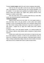 Referāts 'Tūrisma aģentūras "X" analīze', 5.