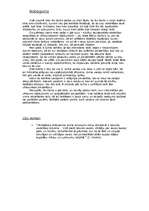 Referāts 'A.Grīns "Pelēkais jātnieks"', 9.