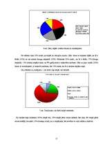 Referāts 'Auto stopēšana - drošs vai bīstams pārvietošanās veids?', 17.