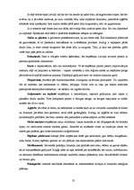 Referāts 'Auto stopēšana - drošs vai bīstams pārvietošanās veids?', 23.