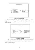 Referāts 'Auto stopēšana - drošs vai bīstams pārvietošanās veids?', 25.