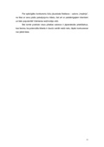 Biznesa plāns 'Skaistumkopšanas salona biznesa plāns', 11.