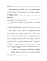 Referāts 'Herberts Spensers', 8.