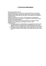 Konspekts 'Filtrēšana', 3.