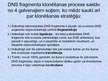 Prezentācija 'Klonēšana', 5.