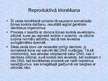 Prezentācija 'Klonēšana', 11.