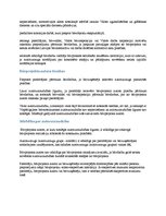 Prakses atskaite 'Prakses atskaite', 10.