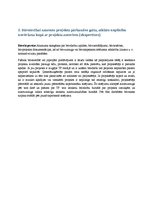 Prakses atskaite 'Prakses atskaite', 11.