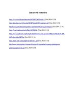 Referāts 'Polimēri', 16.