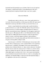 Referāts 'Kultūras un komunikācijas specifika biznesā Nīderlandē', 6.