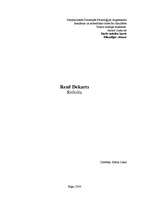 Referāts 'Renē Dekarts', 1.