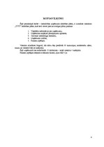 Biznesa plāns 'Jauna uzņēmuma izveide', 4.