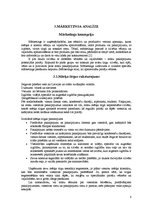 Biznesa plāns 'Jauna uzņēmuma izveide', 8.