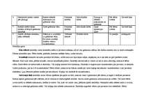 Prakses atskaite 'Kvalifikācijas prakse', 2.