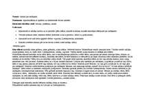 Prakses atskaite 'Kvalifikācijas prakse', 14.