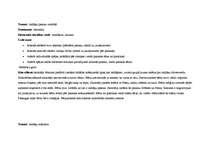 Prakses atskaite 'Kvalifikācijas prakse', 15.