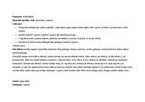 Prakses atskaite 'Kvalifikācijas prakse', 16.