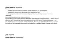 Prakses atskaite 'Kvalifikācijas prakse', 17.