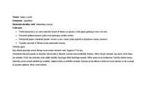 Prakses atskaite 'Kvalifikācijas prakse', 23.