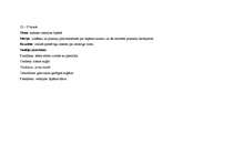 Prakses atskaite 'Kvalifikācijas prakse', 25.