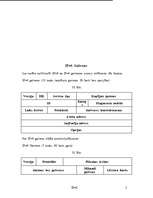 Referāts 'IP v6', 5.